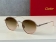 Catier Glasses  (6)_315843