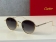 Catier Glasses  (9)_315846