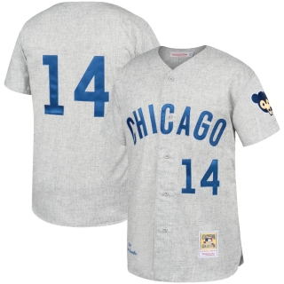 Men's Chicago Cubs Ernie Banks Mitchell & Ness Gray Away 1969 Authentic Jersey