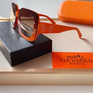 Hermes Glasses 0714 (1)_5256163