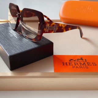 Hermes Glasses 0714 (2)_5256164