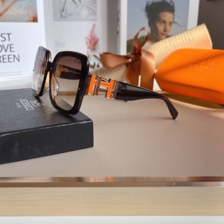 Hermes Glasses 0714 (21)_5256182