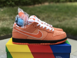 Authentic Concepts x Nike SB Dunk Low