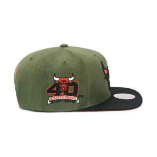 NBA Chicago Bulls  Adjustable Hat TX  - 1908