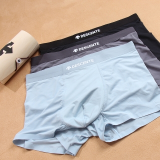 Descente boxer L-4XL 01 (3)_2125119