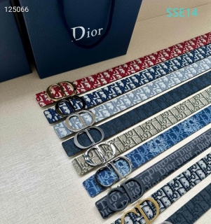 Dior belt 35mX95-125cm XH (53)_2235307