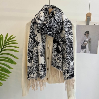 Dior scarf 50X180cm  E66 (28)_2349253