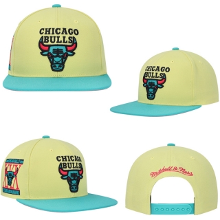 NBA Chicago Bulls Adjustable Hat TX  - 1896