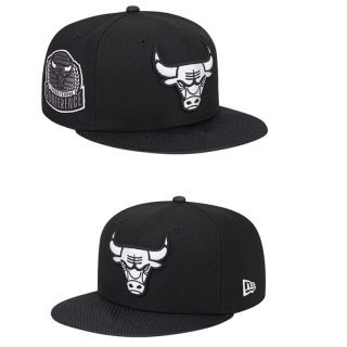 NBA Chicago Bulls Adjustable Hat TX  - 1908