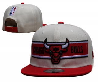 NBA Chicago Bulls Adjustable Hat YS  - 1967