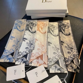 Dior silk ribbon hm (131)_2767897